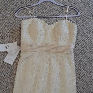 Lord and Taylor THEIA Couture lace dress